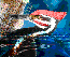 Woodpecker Art