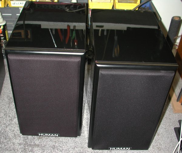 A pair of HUMAN 61 speakers