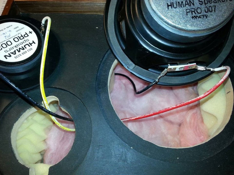 HUMAN 61 kit, seventh version, photo 5