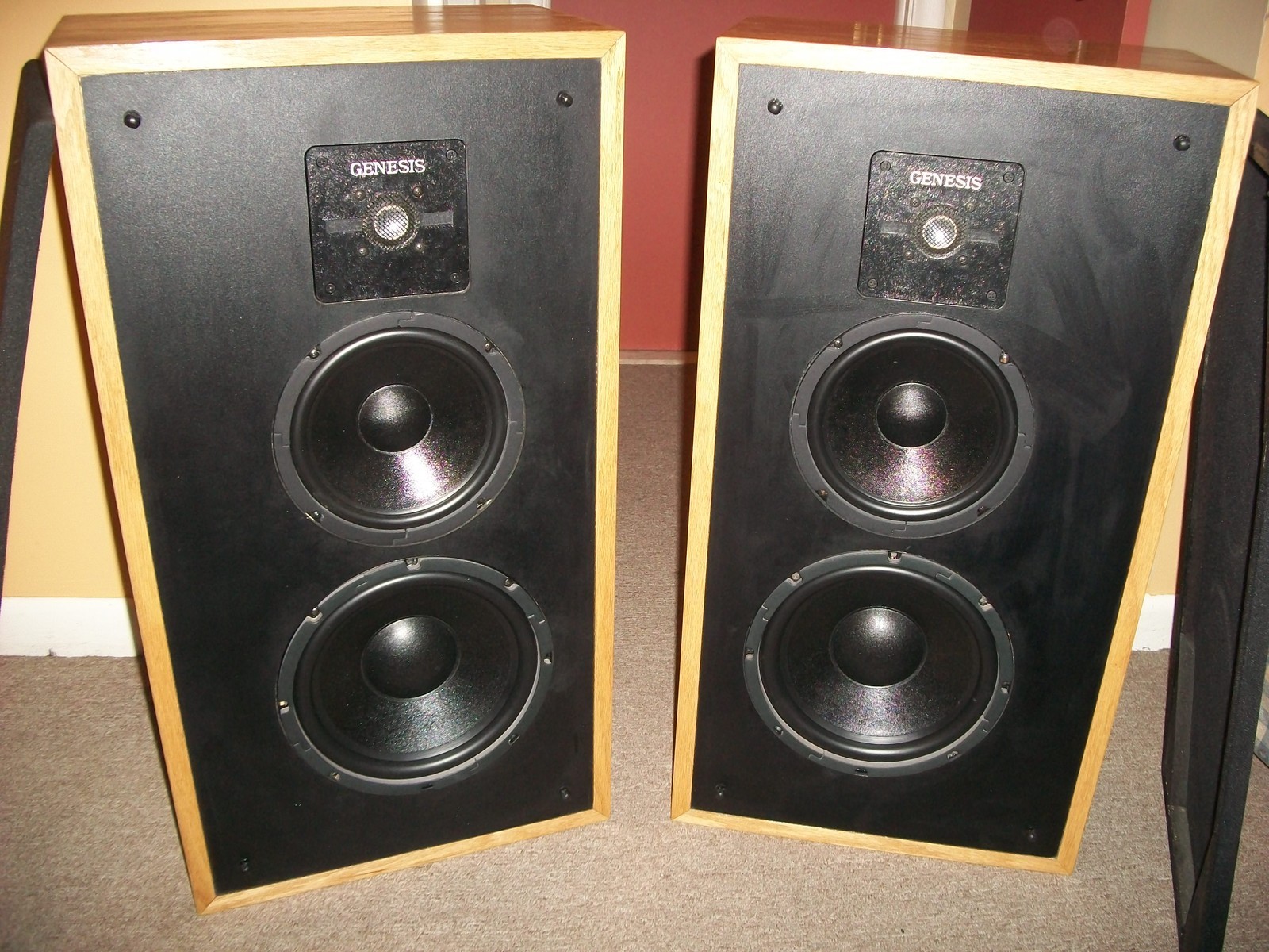 Speakers: Model 210